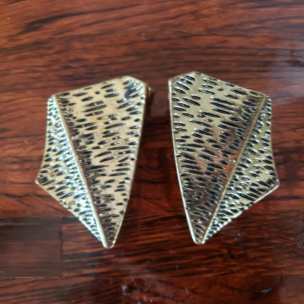 Irregular Shaped Pierced Earrings - image 1